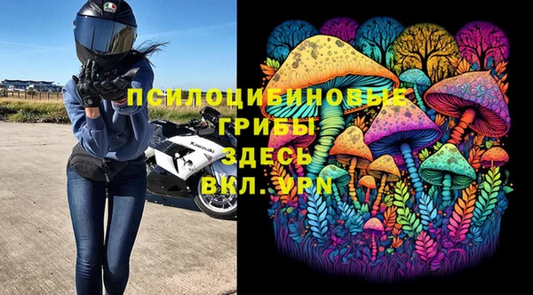 прущие крисы Зеленокумск