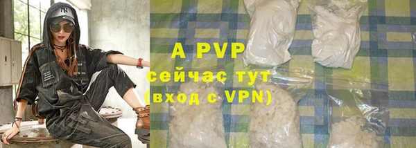 прущие крисы Зеленокумск