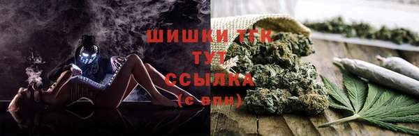 гидра Зеленодольск