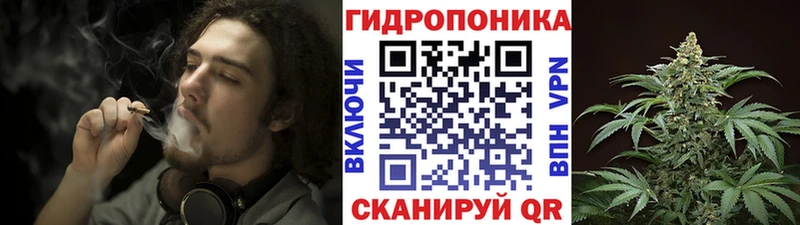 Купить закладки  Барыш  Бошки Шишки VHQ 